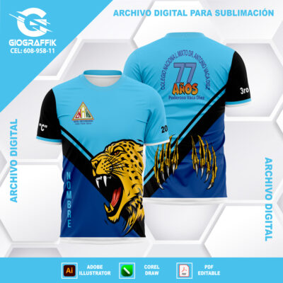3RO C 77 AÑOS GEOMETRIC TIGRE