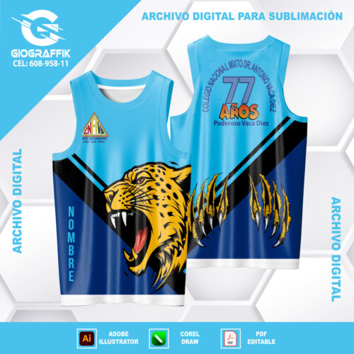 3RO C 77 AÑOS GEOMETRIC TIGRE
