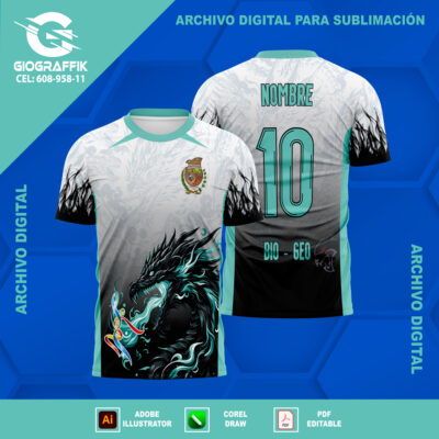 FORMACIÓN DE MAESTROS COBIJA