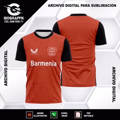 BAYER LEVERKUSEN 2024-25