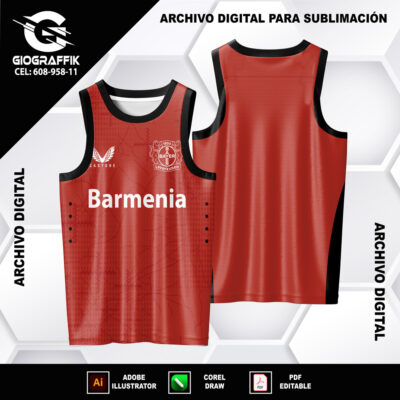 BAYER LEVERKUSEN 2024-25