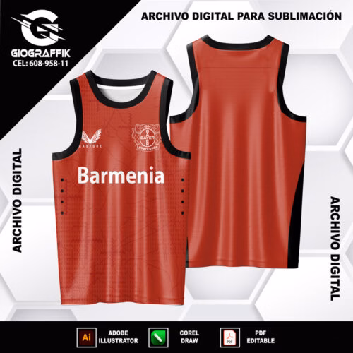 BAYER LEVERKUSEN 2024-25