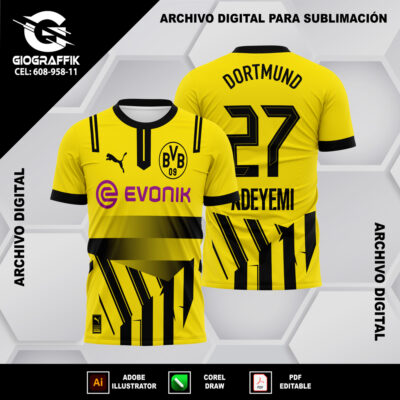 BVB BORUSSIA D 24-25