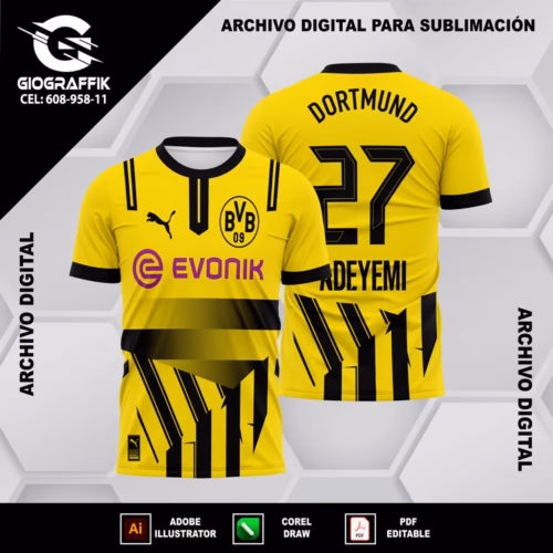 BVB BORUSSIA D 24-25