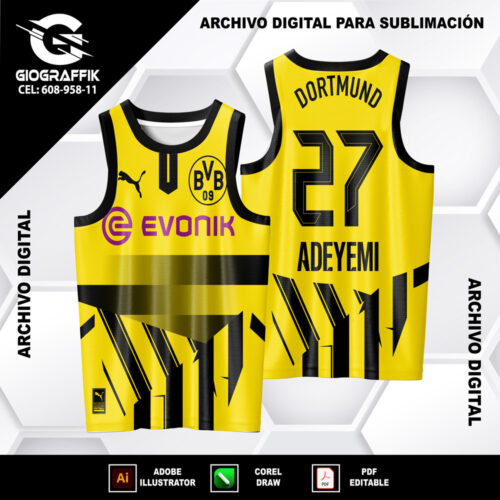 BVB BORUSSIA D 24-25