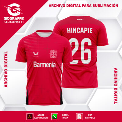 BAYER LEVERKUSEN LOCAL 2024-25