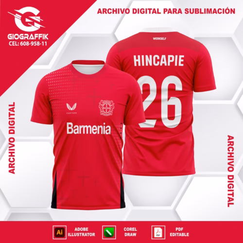 BAYER LEVERKUSEN LOCAL 2024-25