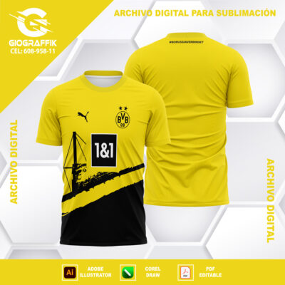 BORUSSIA DORTMUND 2023-24