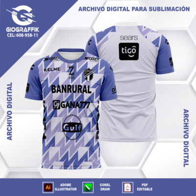 COMUNICACIONES VISITA 2024-25