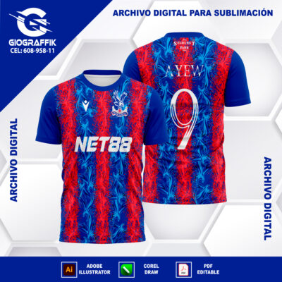 CRYSTAL PALACE GRUNGE HOME 2024-25