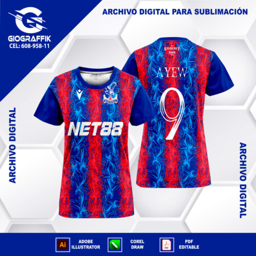 CRYSTAL PALACE GRUNGE HOME 2024-25