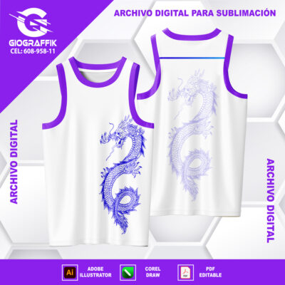 DRAGON DEGRADE MAGENTA CIAN CONCEPT