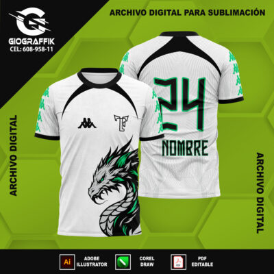 DRAGON VERDE AGUA CONCEPT PUNTA
