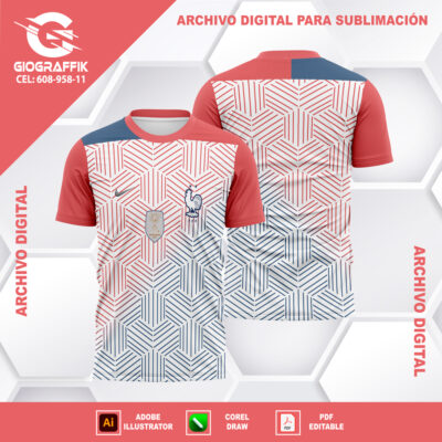 FRANCIA GEOMETRIC CONCEPT 2024