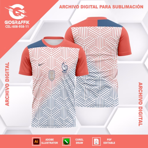 FRANCIA GEOMETRIC CONCEPT 2024