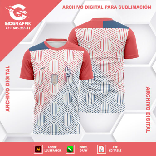 FRANCIA GEOMETRIC CONCEPT 2024