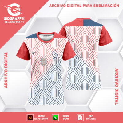 FRANCIA GEOMETRIC CONCEPT 2024