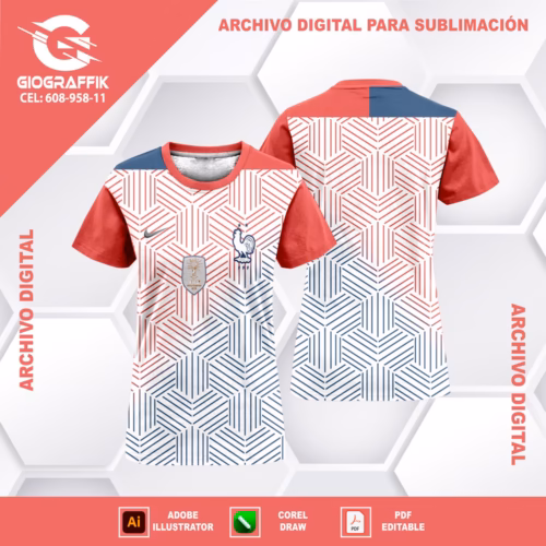 FRANCIA GEOMETRIC CONCEPT 2024