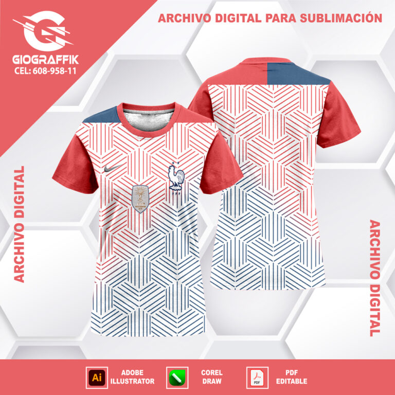 FRANCIA GEOMETRIC CONCEPT 2024