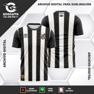 SANTOS LOCAL 2024-25