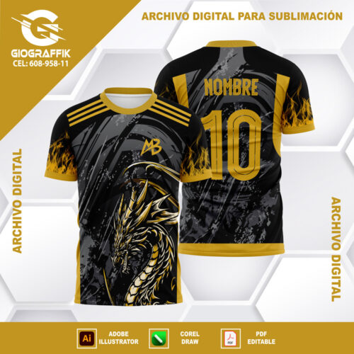 AB YELLOW DRAGON INTERCLASSE